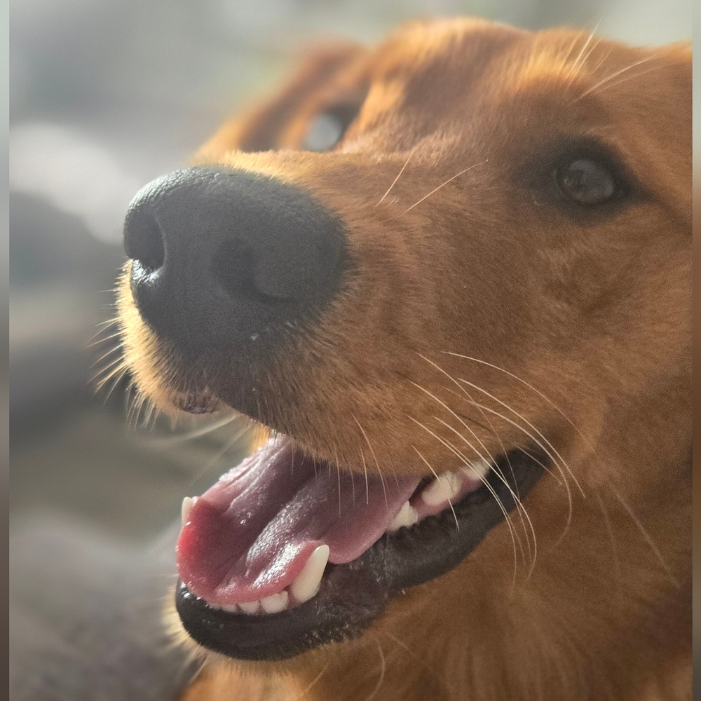 Meet your Posher, Kristina